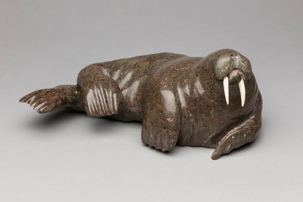 Reclining Walrus by Pudlalik Shaa, Inuit