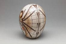 Pottery Jar with Spider Design by Burel Naja, Hopi-Tewa