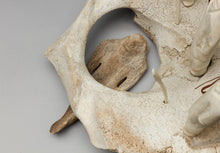 Hunters Try to Capture Sedna (Sea Goddess), Inuit