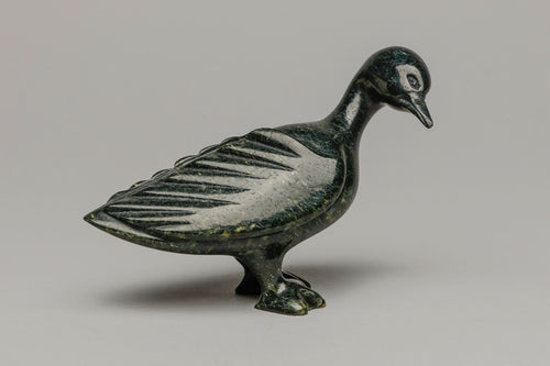 Goose by Shaa Pudlalik, Cape Dorset