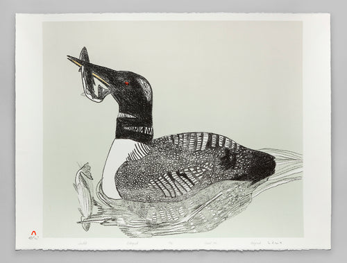 Tuulik (Loon) Print, 1990 by Mayoreak Ashoona, Inuit