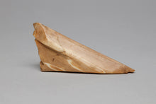 Fossil Ivory Shard with Arctic Scenes by Earl Mayac, Inupiaq