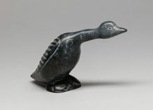 Arctic Bird, Inuit