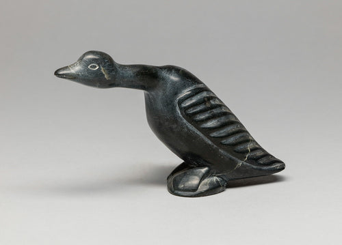 Arctic Bird, Inuit
