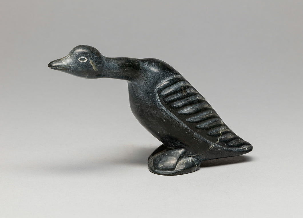 Arctic Bird, Inuit