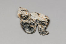 Snake Fetish Carving by Justin Red Elk, Zuni