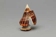 Eagle Fetish Carving by Delvin Leekya, Zuni