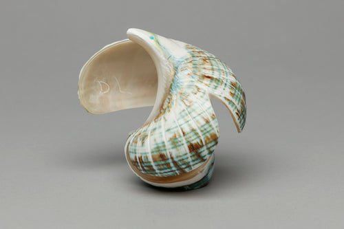 Eagle Fetish Carving by Delvin Leekya, Zuni