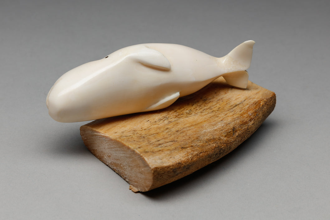 Gray Whale on Fossil Ivory Base by Charles Slwooko, Siberian Yup'ik