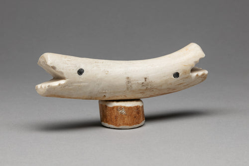 Polar Bear Transformation