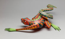 Oaxacan Lizard by Gerardo Ramirez, Mexico