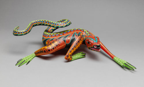 Oaxacan Lizard by Gerardo Ramirez, Mexico